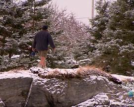 求生一加一第一季