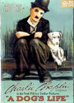 狗的生涯