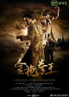 金袍拳王